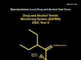Drug and Alcohol Trends Monitoring System (DATMS): Year 8 Report Cover